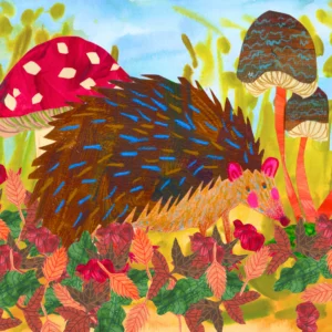 Het egeltje op zoek naar een hapje tussen de paddestoelen